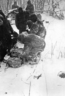 Descente des morts et des blessés après la prise de la cote 1037 le 6 mars 1951 (ECPAD, D54-02-176)
